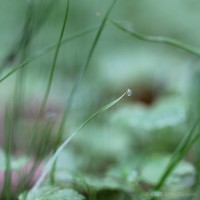 /album/galerie-photos/frida-dumont-img-4491-jpg1/